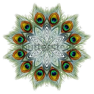 🦚