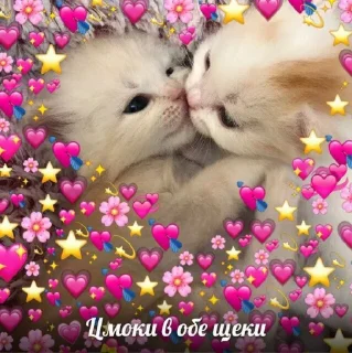 😘