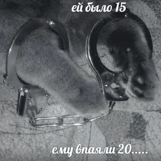 😺