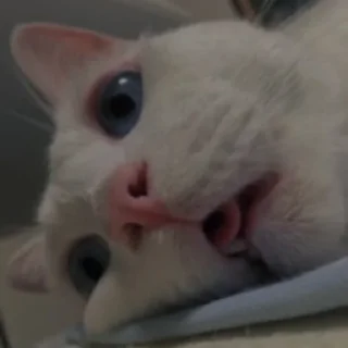 💗