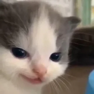 🥴