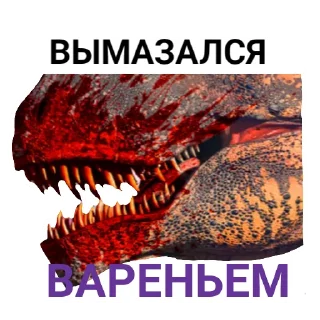 🍅