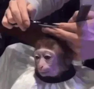 ✂