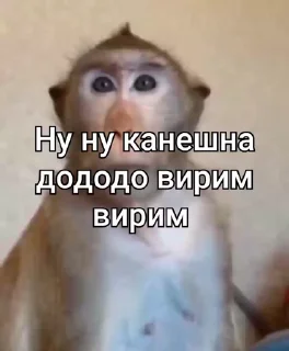 🤩