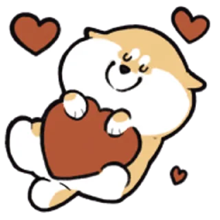 Shiba @fixfox