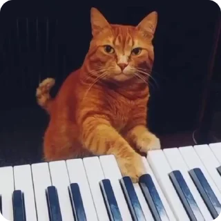 🎹