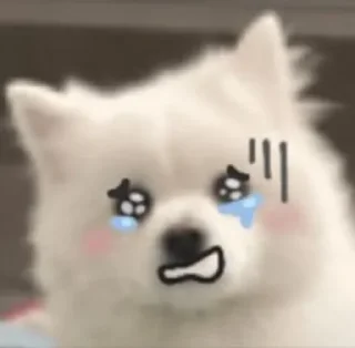 😢