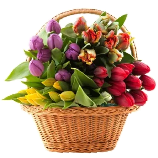 💐
