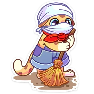 🧹
