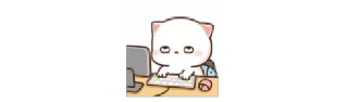 🧑‍💻