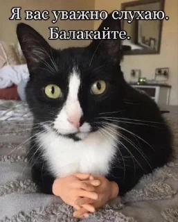 🧐