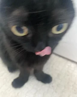 😋