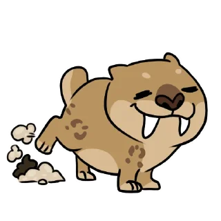 💩