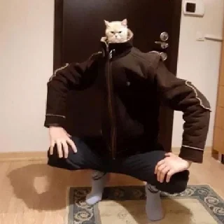 😎