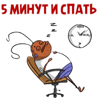 😴