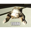 ☀