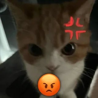 😡
