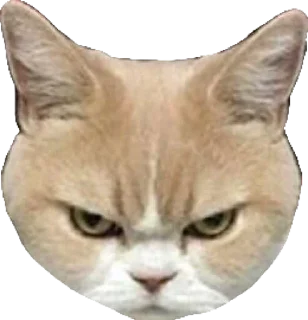 👿