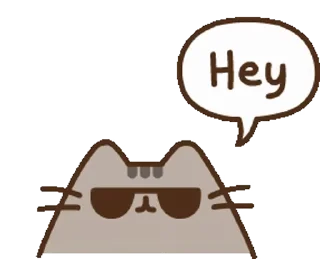 😎