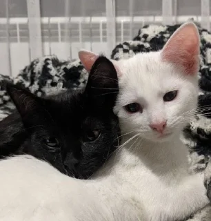 🥰
