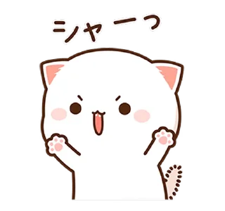 😼