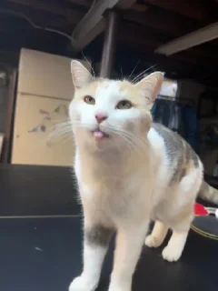 😛