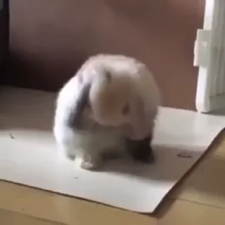 🥛