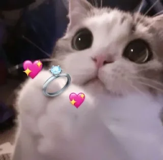 💍