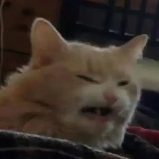 🔪