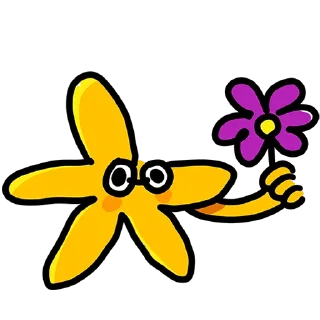 🌺