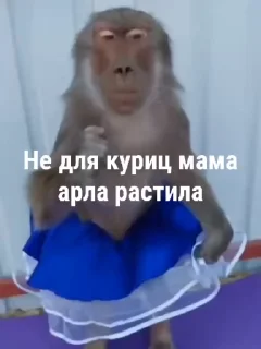 🌟