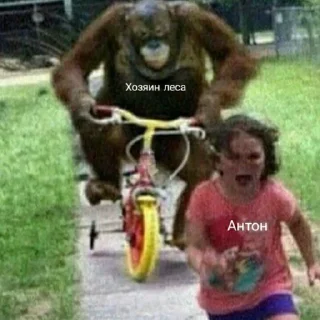 🎭