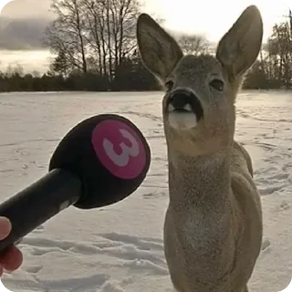 😶