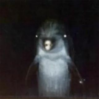 🌚