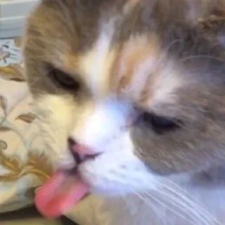 😙
