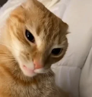 😏