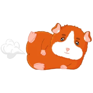 💨