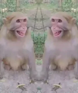 🤩
