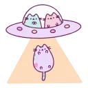 🛸