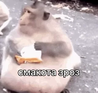 🍟
