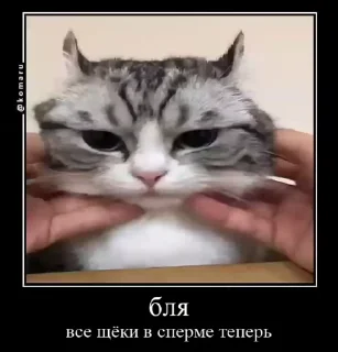😁