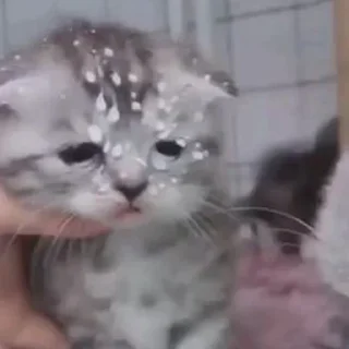 😞
