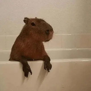 🛁