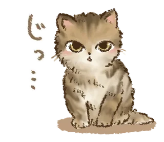 🐱