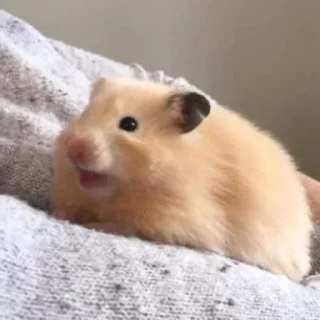 😄