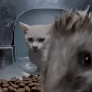 😠