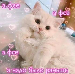 😌