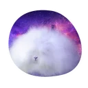 🐇 Космичеческие кролики @lennysticker