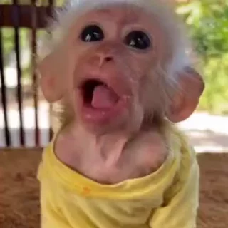 😛