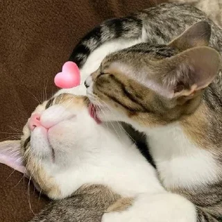 💋